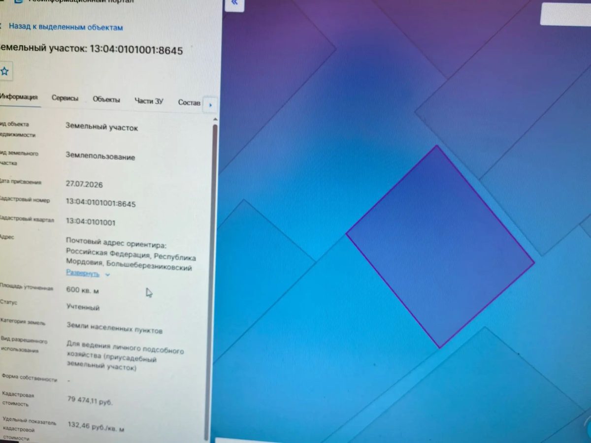 Фото из извещения о торгах