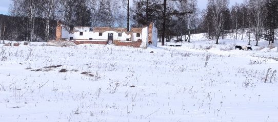 Фото из извещения о торгах